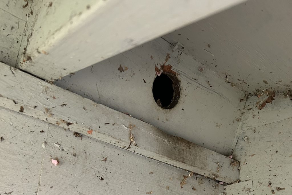 A hole in the home's soffit displaying dark, greasy marks from rodent body oil buildup.